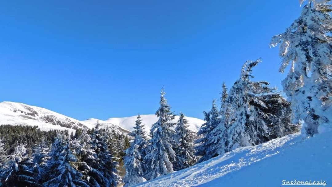 Stara Planina Vila Vesela Kuca Jalovik Izvor Eksteriør bilde